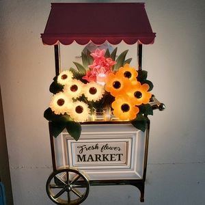 B&BW Wallflower Plug